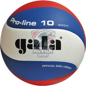 Photo acvilasport - Мяч для волейбола GALA Proline 10