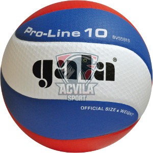 Photo acvilasport - Мяч для волейбола GALA Proline 10