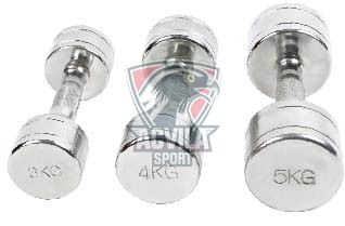 Haltere mici 6 kg Chromed - acvilasport.md photo Haltere mici 6 kg Chromed
