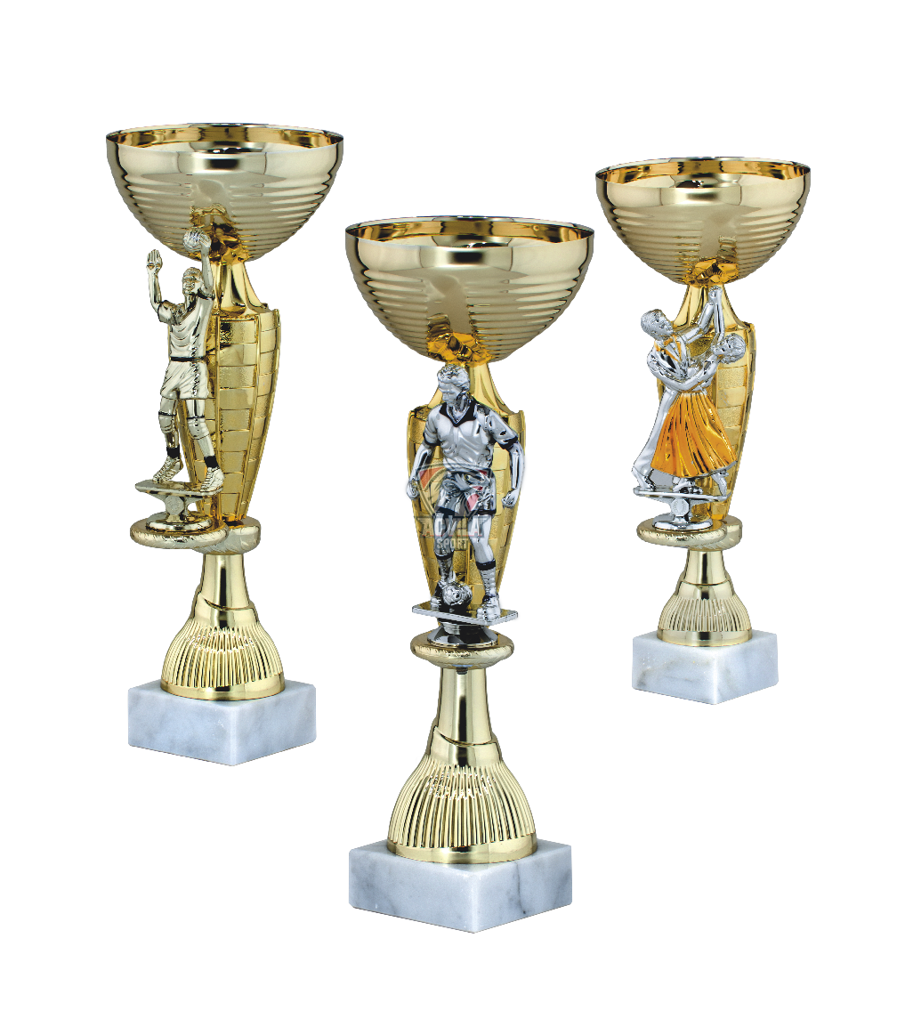 Cupa Sport 9898A - acvilasport.md photo Cupa Sport 9898A