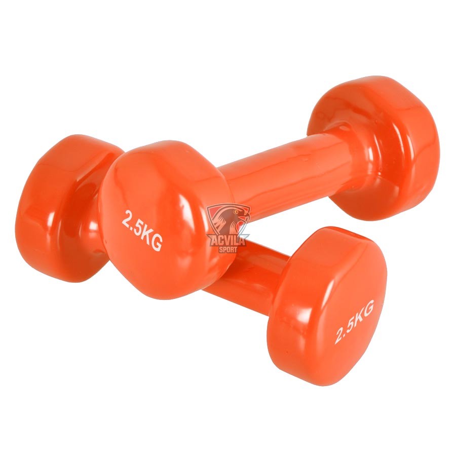 Haltera mica 2,5 kg Vinyl - acvilasport.md photo Haltera mica 2,5 kg Vinyl