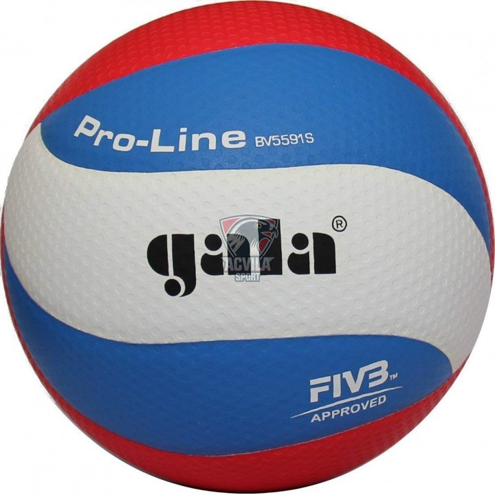 photo Мяч для волейбола GALA Proline FIVB