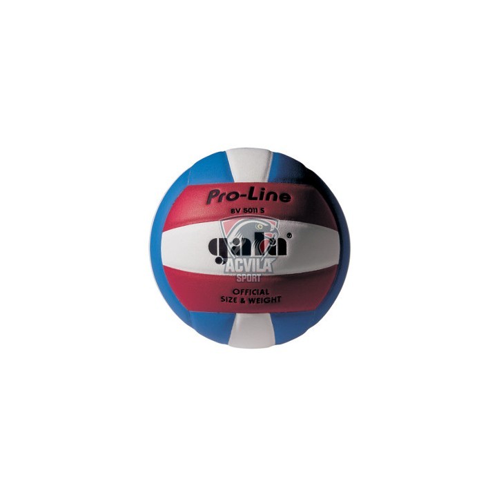 photo Мяч для волейбола GALA Proline 18 BV5011SA