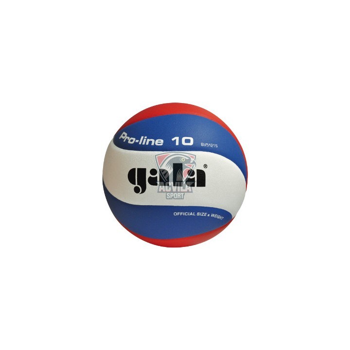 photo Мяч для волейбола GALA Proline 10 BV5821SA